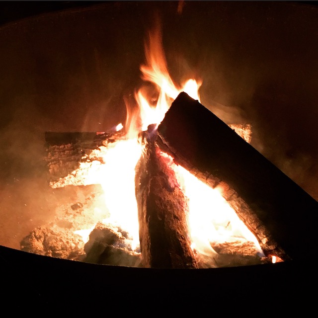 logs in a fire pit